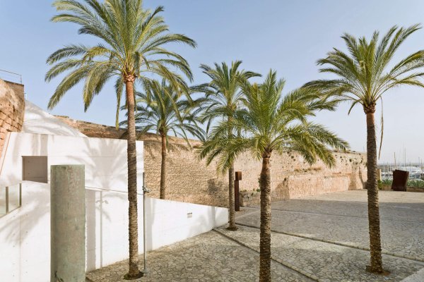Mit Blick auf den Hafen von Palma - Finca Arte